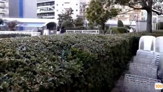 美女视频一区二区,成人视频高清免费观看